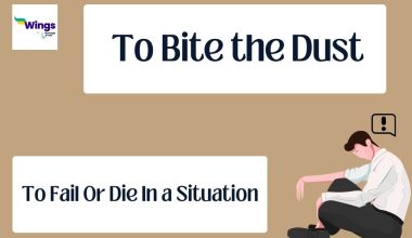 To bite the dust
