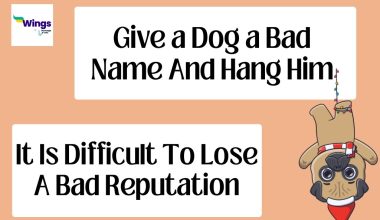 Give a Dog a Bad Name and Hang Him