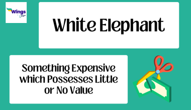 white elephant