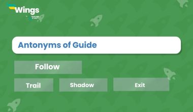 Antonyms-of-Guide