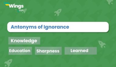 Antonyms-of-Ignorance
