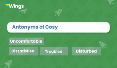 Antonyms-of-Cosy
