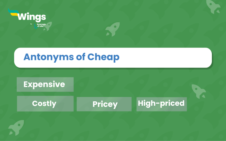 11+ Antonyms of Cheap, Meaning and Examples - Leverage Edu Explore