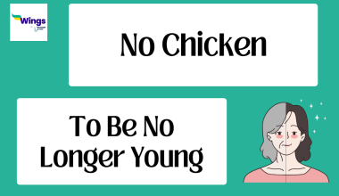 No Chicken