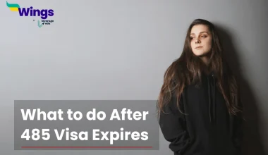 What to do After 485 Visa Expires