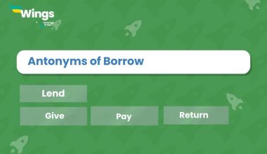 Borrow-Antonyms
