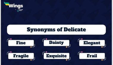 Delicate-Synonyms