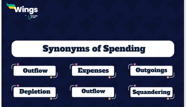 Synonyms