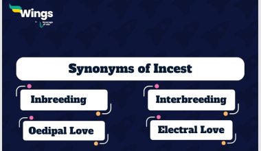 Incest-Synonyms