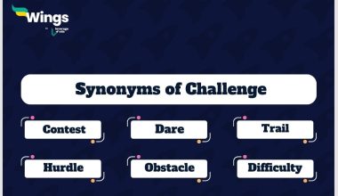 Challenge-Synonyms