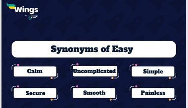 Easy-Synonyms