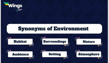 Environment-Synonyms