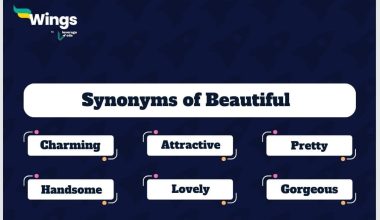 Beautiful-Synonyms
