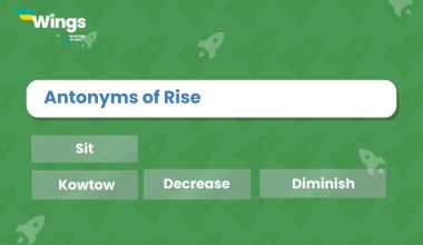 Antonyms-of-Rise