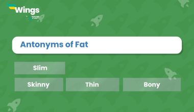 Fat-Antonyms