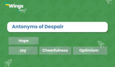 Antonyms-of-Despair