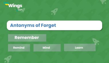 Antonyms of Forget