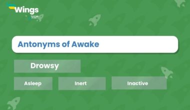 Antonyms of Awake