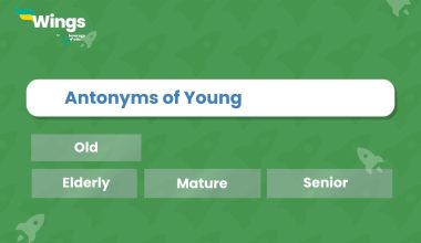 Antonyms of Young