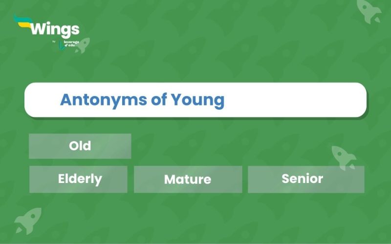 Antonyms of Young