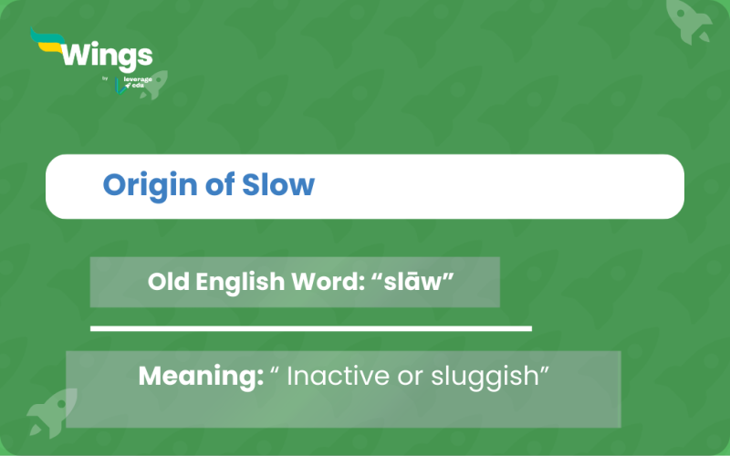 7+ Antonyms of Slow With Meanings and Examples - Leverage Edu Explore