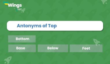 Antonyms of Top