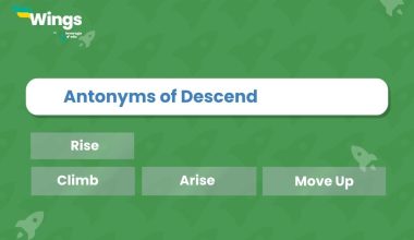 Antonyms of Descend