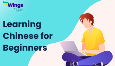 Learning chinese for beginners