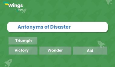 Antonyms of Disaster