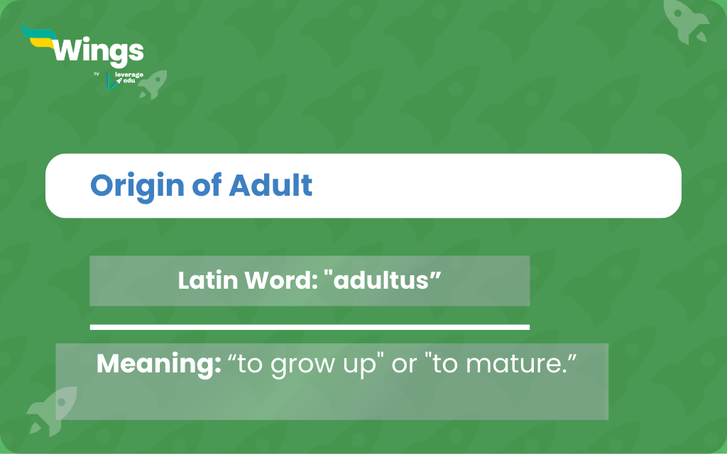 11+ Antonyms of Adults with Meanings and Examples - Leverage Edu Explore