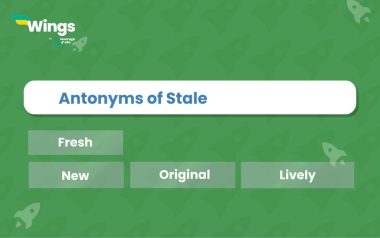 9+ Antonyms of Stale with Meaning and Examples | Leverage Edu Explore