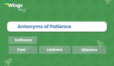 Antonyms of Patience
