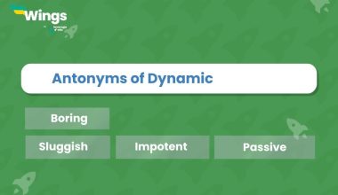 Antonyms of Dynamic