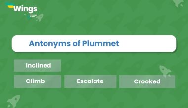Antonyms of Plummet