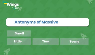 Antonyms of Massive