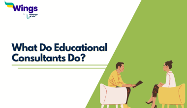 What do educational consultants do?