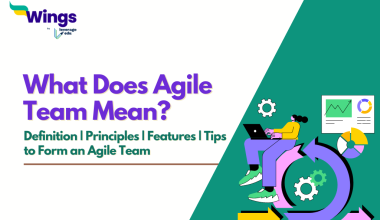 Agile team