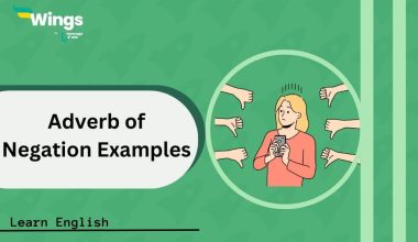 Adverb-of-Negation-Examples