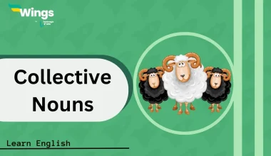 Collective-Noun