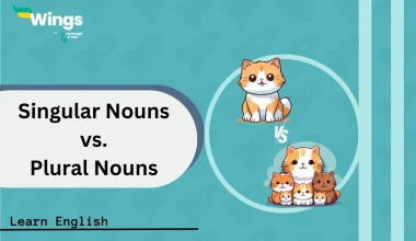 Singular Nouns vs. Plural Nouns