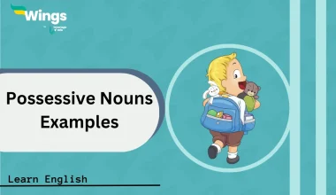 possessive nouns examples