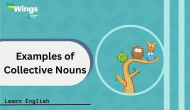 Examples-of-Collective-Nouns-