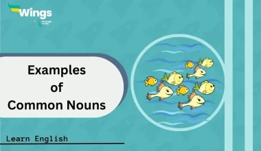 Examples-of-Common-Nouns