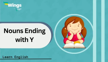 Nouns-Ending-with-Y-