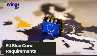 requirements for blue card