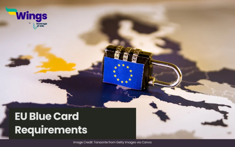 requirements for blue card