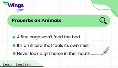 proverbs on animals