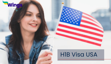 h1b visa usa