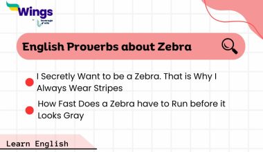 English-Proverbs-about-Zebra