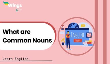 What-are-Common-Nouns